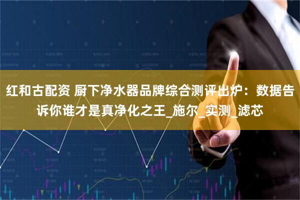 红和古配资 厨下净水器品牌综合测评出炉：数据告诉你谁才是真净化之王_施尔_实测_滤芯